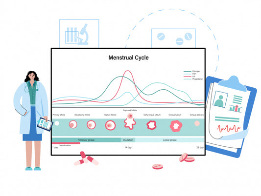 Harnessing The Power of Your Period as a Productivity Tool