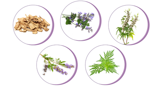 These 5 Herbs Can Help You Have an Easier Period
